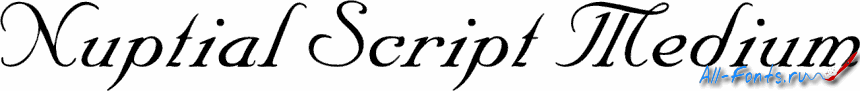 Картинка Шрифта Nuptial Script Medium