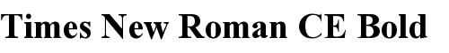 Картинка Шрифта Times New Roman CE Bold