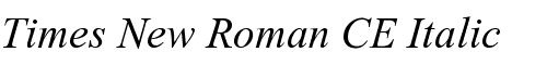 Картинка Шрифта Times New Roman CE Italic